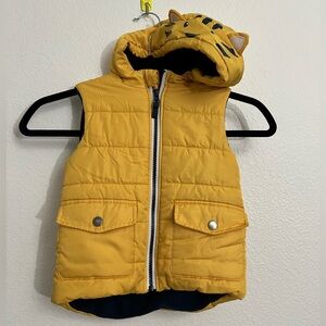 Toddler Puffy Vest Jacket with hoodie